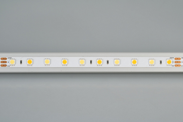 Светодиодная лента RT 6-5000 24V White-MIX 2x (5060, 60 LED/m, LUX) (Arlight, Изменяемая ЦТ) Lednikoff