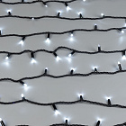 Светодиодная гирлянда ARD-STRING-PRO-10000-BLACK-100LED-FLASH WHITE (230V, 7W) (Ardecoled, IP65) Lednikoff