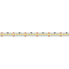 Светодиодная лента RT 2-5000 24V White5500 10mm (2835, 252 LED/m, LUX) (Arlight, 10 Вт/м, IP20) Lednikoff