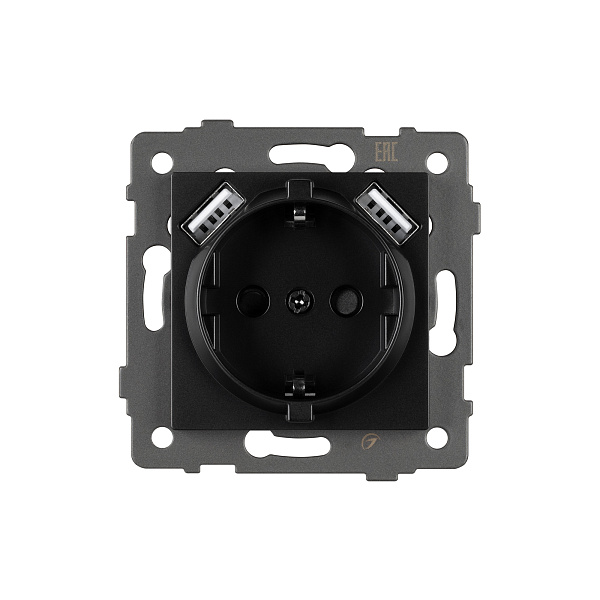 Механизм розетки с USB зарядкой SCT-MUAA-PL-BK-V (250V, 16A) (Arlight, -) Lednikoff