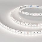 Светодиодная лента RT-B96-10mm 24V Day5000 (23 W/m, IP20, 5060, 5m) (Arlight, Открытый) Lednikoff