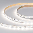 Светодиодная лента IC-A60-10mm 24V Day4000 (4.8 W/m, IP20, 2835, 20m) (Arlight, 4.8 Вт/м, IP20) Lednikoff