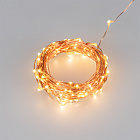 Светодиодная гирлянда ARD-DEW-HOME-10000-100LED-LIVE Warm3000 (5V, USB, ПДУ) (Ardecoled, IP20) Lednikoff
