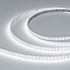 Светодиодная лента RTW-5000SC 24V Cool SP7500-Fish 10mm (2835, 112 LED/m, SHOP) (Arlight, Открытый) Lednikoff
