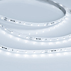 Светодиодная лента RT-20000 24V White6000 (3528, 60 LED/m, 20m) (Arlight, 4.8 Вт/м, IP20) Lednikoff