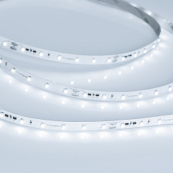 Светодиодная лента RT-20000 24V White6000 (3528, 60 LED/m, 20m) (Arlight, 4.8 Вт/м, IP20)