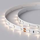 Светодиодная лента RT 2-5000 24V Day4000 (3528, 300 LED, LUX) (Arlight, 4.8 Вт/м, IP20) Lednikoff