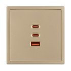 Механизм розетки с быстрой USB зарядкой SCT-NOBE-MUACC-SFPL-FC-GD (65W, QC3) (Arlight, -) Lednikoff