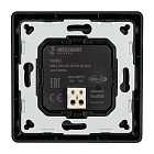 INTELLIGENT ARLIGHT Панель DALI-223-2K-D2-IN-BLACK (BUS, Free purpose) (IARL, -) Lednikoff