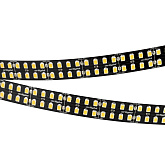 Светодиодная лента RT-5000-2835-320 24V Warm3000 (BLACK 15mm, 24W/m, IP20) (Arlight, -)