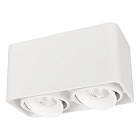 Светильник SP-CUBUS-S195x100-2x8W Day4000 (WH, 45 deg, 230V) (Arlight, IP20 Металл, 3 года) Lednikoff