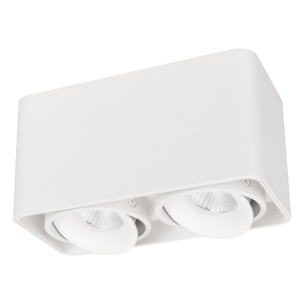Светильник SP-CUBUS-S195x100-2x8W Day4000 (WH, 45 deg, 230V) (Arlight, IP20 Металл, 3 года) Lednikoff