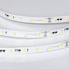 Светодиодная лента IC-A60-10mm 24V Cool 8K (4.8 W/m, IP20, 2835, 20m) (Arlight, 4.8 Вт/м, IP20) Lednikoff