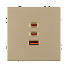 ARL NOBE USB Розетка тип А+С+С софт-тач золотой песок SCT-MUACC-SFPL-FC-GD (65W, QC3) (Arlight, -) Lednikoff