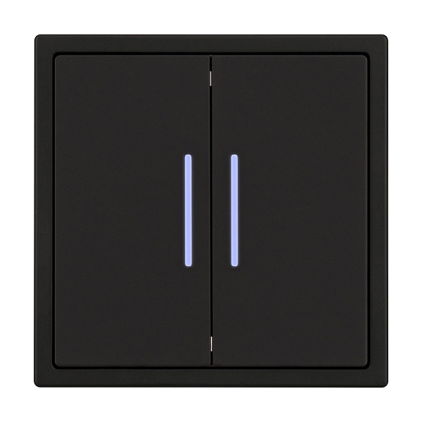 Механизм выключателя двухклавишный непроходной LED SWT-NOBE-MK02-SFPL-L-BK (230V, 10A) (Arlight, Черный оникс) Lednikoff