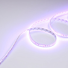 Светодиодная лента RT-G168-10mm 24V RGB (17.3 W/m, IP20, 3838, 5m) (Arlight, Открытый) Lednikoff