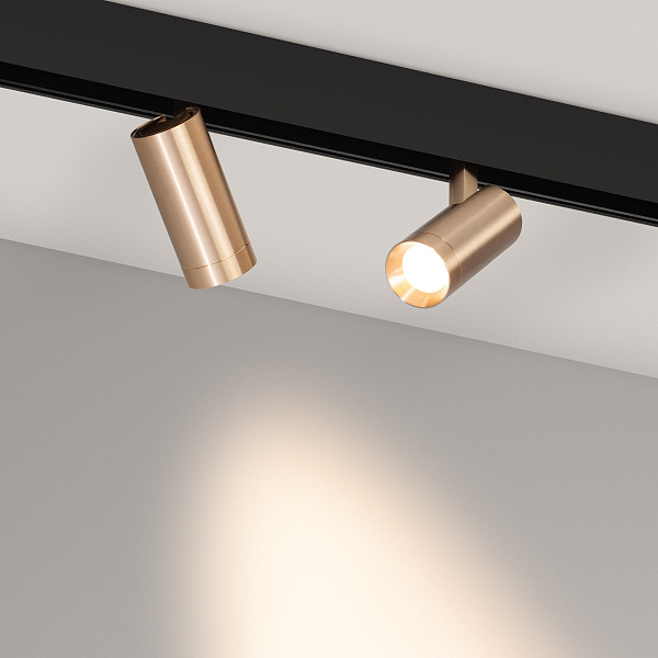 Светильник MAG-ORIENT-SPOT-R45-12W Warm3000 (GD, 24 deg, 48V, DALI) (Arlight, IP20 Металл, 5 лет) Lednikoff