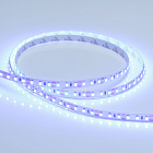 Светодиодная лента RT 2-5000 12V Blue 2x (3528, 600 LED, LUX) (Arlight, 9.6 Вт/м, IP20) Lednikoff