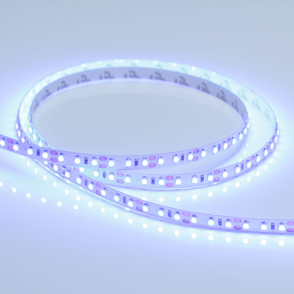 Светодиодная лента RT 2-5000 12V Blue 2x (3528, 600 LED, LUX) (Arlight, 9.6 Вт/м, IP20) Lednikoff