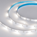 Светодиодная лента RT-5000-6060LENS-20-12V Day4000 (10mm, 10W/m, IP20) (Arlight, Открытый) Lednikoff
