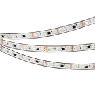Светодиодная лента герметичная DMX-PS-B60-12mm 12V RGB-PX3 (14 W/m, IP67, 5060, 5m) (Arlight, -) Lednikoff