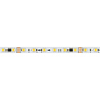 Светодиодная лента SPI-B60-10mm 24V Warm3000-PX6-RAM (15 W/m, IP20, 5060, 5m) (Arlight, бегущий огонь) Lednikoff