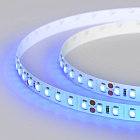 Светодиодная лента RT 2-5000 24V Blue 2x (3528, 600 LED, LUX) (Arlight, 9.6 Вт/м, IP20) Lednikoff