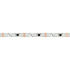 Светодиодная лента SPI-B60-10mm 12V RGB-PX3-BPT (12 W/m, IP20, 5060, 5m) (Arlight, бегущий огонь) Lednikoff