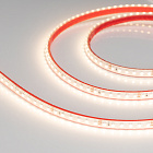 Светодиодная лента RTW 2-5000PS-50m 24V Warm3000 2x (3528, 120 LED/m, LUX) (Arlight, 9.6 Вт/м, IP67) Lednikoff