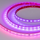 Светодиодная лента герметичная SPI-PS-B60-12mm 24V RGB-PX6-BPT (12 W/m, IP67, 5060, 5m) (Arlight, бегущий огонь) Lednikoff