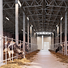 Светильник ALT-TUBU-L600-18W Day5000 (WH, 140x110 deg, 230V) (Arlight, IP66 Пластик, 5 лет) Lednikoff