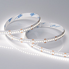 Светодиодная лента RT-A240-10mm 24V Day4000 (19.2 W/m, IP20, 3528, 5m) (Arlight, Открытый) Lednikoff