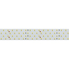 Светодиодная лента RT 2-2500 24V Warm3000 4x2 (2835, 700 LED, CRI98) (Arlight, 30 Вт/м, IP20) Lednikoff