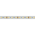 Светодиодная лента RTW 2-5000PW 12V White6000 2x (5060, 300 LED, LUX) (Arlight, 14.4 Вт/м, IP66) Lednikoff