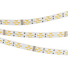 Светодиодная лента RT-A240-10mm 24V Warm-MIX (20 W/m, IP20, 2835, 5m) (Arlight, Изменяемая ЦТ) Lednikoff