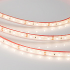 Светодиодная лента RTW 2-5000PGS 12V Warm (3528, 300 LED, LUX) (Arlight, 4.8 Вт/м, IP67) Lednikoff
