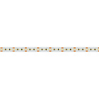 Светодиодная лента MICROLED-5000 24V Warm2700 8mm (2216, 300 LED/m, LUX) (Arlight, 8 Вт/м, IP20) Lednikoff