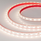Светодиодная лента RTW 2-5000PS 24V Day4000 2x (5060, 300 LED, LUX) (Arlight, 14.4 Вт/м, IP67) Lednikoff