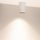 Светильник SP-SALT-R95-20W Day4000 (WH-BK, 40 deg, 230V) (Arlight, IP54 Металл, 5 лет) Lednikoff