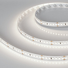Светодиодная лента RT-A168-10mm 24V Day5000 CRI98 (17 W/m, IP20, 2835, 5m) (Arlight, Открытый) Lednikoff