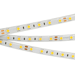 Светодиодная лента герметичная RTW-SE-B60-10mm 24V Cool 8K (14.4 W/m, IP65, 5060, 5m) (Arlight, 14.4 Вт/м, IP65)