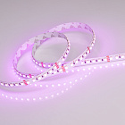 Светодиодная лента RT 2-5000 24V RGB 10mm (4040, 120 LED/m, LUX) (Arlight, 13.2 Вт/м, IP20) Lednikoff