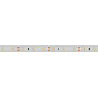 Светодиодная лента RTW 2-5000PGS 12V Warm (3528, 300 LED, LUX) (Arlight, 4.8 Вт/м, IP67) Lednikoff