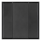 INTELLIGENT ARLIGHT Панель KNX-223-2-BLACK (BUS) (IARL, IP20 Пластик, 3 года) Lednikoff