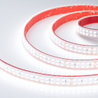 Светодиодная лента RTW 2-5000P 24V White6000 2x2 (3528, 1200 LED, LUX) (Arlight, 19.2 Вт/м, IP66) Lednikoff