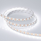 Светодиодная лента RT 2-5000 12V Cx1 Day5000 2x (5060, 360 LED, CRI98) (Arlight, 16.8 Вт/м, IP20) Lednikoff