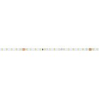 Светодиодная лента MICROLED-M140-4mm 24V White-CDW (4.8 W/m, IP20, 2216, 5m) (Arlight, узкая) Lednikoff