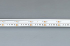 Светодиодная лента CSP-X840-12mm 24V RGBW-Day (17.2 W/m, IP20, 5m)  (Arlight, 5 лет) Lednikoff