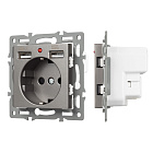 Механизм розетки с USB зарядкой SCT-MUAA-PL-GR (250V, 16A) (Arlight, -) Lednikoff
