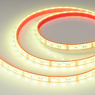 Светодиодная лента герметичная RTW-PFS-B60-13mm 12V RGB (14.4 W/m, IP68, 5060, 5m) (Arlight, -) Lednikoff